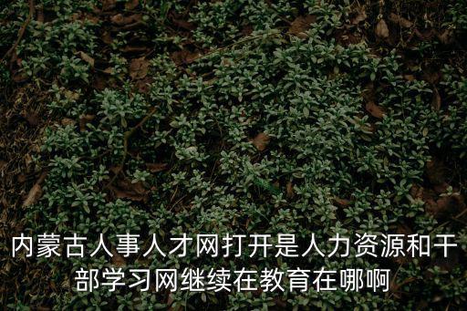 內蒙古人事人才網打開是人力資源和干部學習網繼續在教育在哪啊