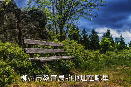 柳州市教育局的地址在哪里