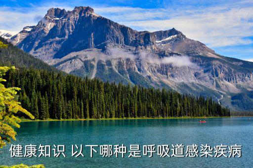 健康知識 以下哪種是呼吸道感染疾病