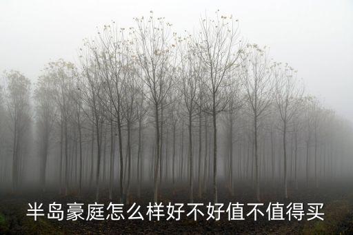 半島豪庭，宜賓長寧半島豪庭二期開盤價