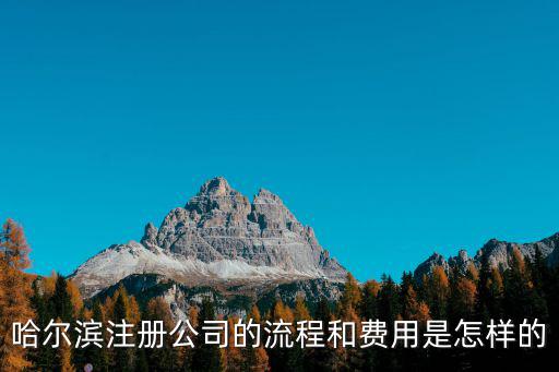 哈爾濱注冊(cè)公司的流程和費(fèi)用是怎樣的