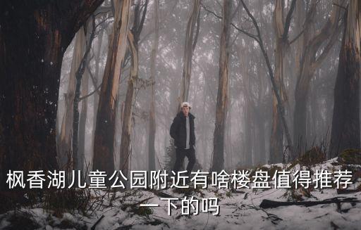 楓香湖兒童公園附近有啥樓盤值得推薦一下的嗎