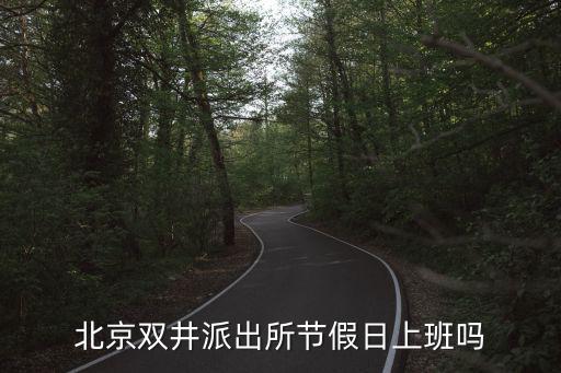北京雙井派出所節(jié)假日上班嗎