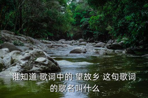 誰知道 歌詞中的 望故鄉 這句歌詞 的歌名叫什么