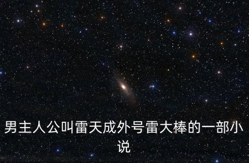 男主人公叫雷天成外號(hào)雷大棒的一部小說