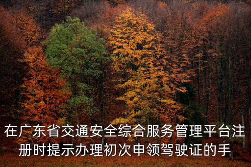 在廣東省交通安全綜合服務管理平臺注冊時提示辦理初次申領駕駛證的手