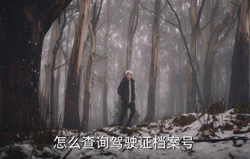 機(jī)動(dòng)車(chē)駕駛證檔案編號(hào)怎么查，怎么查詢駕駛證檔案號(hào)