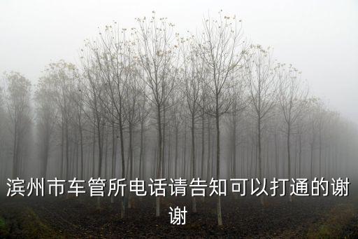 濱州車管所電話，濱州市濱城車管所電話多少我想咨詢點事情謝謝