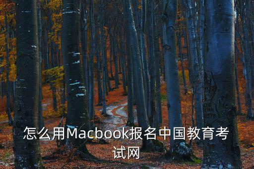怎么用Macbook報名中國教育考試網