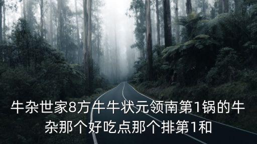 牛雜世家8方牛牛狀元領南第1鍋的牛雜那個好吃點那個排第1和