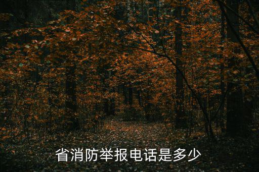 消防電話是多少，省消防舉報電話是多少