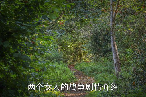 兩個(gè)女人的戰(zhàn)爭劇情介紹