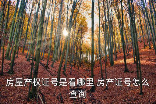 房屋產權證號是看哪里 房產證號怎么查詢
