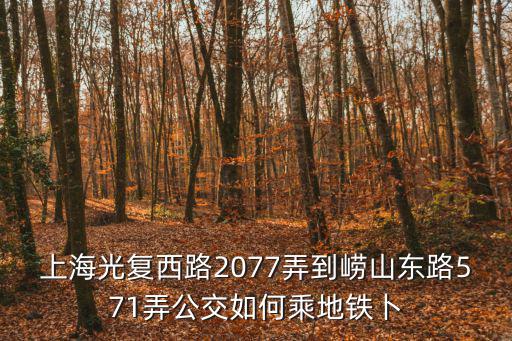 上海光復西路2077弄到嶗山東路571弄公交如何乘地鐵卜