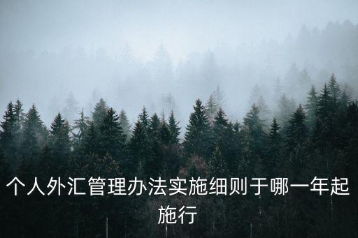 個人外匯管理辦法實施細則于哪一年起施行
