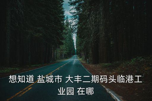 二期碼頭，想知道 鹽城市 大豐二期碼頭臨港工業園 在哪