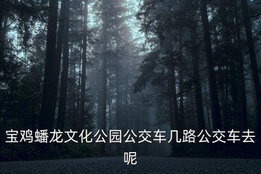 寶雞蟠龍文化公園公交車幾路公交車去呢