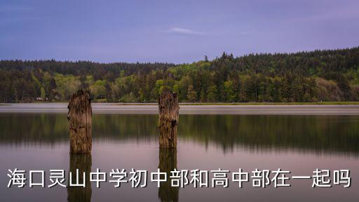 海口市靈山中學，海口市靈山中學 校長是誰