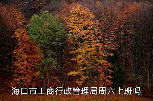 海口市工商局，海口市工商行政管理局周六上班嗎
