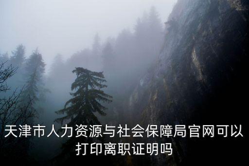 天津市人力資源與社會保障局官網(wǎng)可以打印離職證明嗎