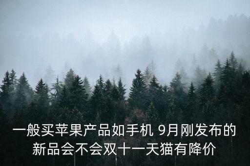 蘋果手機打折，一般買蘋果產品如手機 9月剛發布的新品會不會雙十一天貓有降價