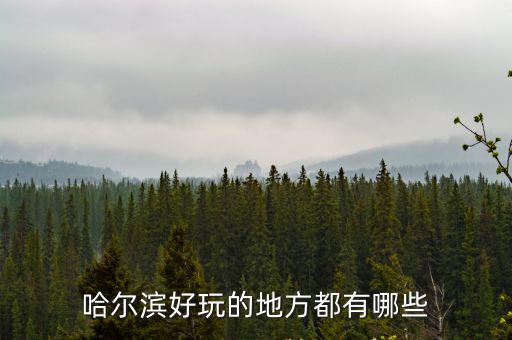 哈爾濱好玩的地方都有哪些
