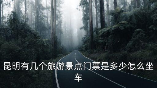 昆明有幾個旅游景點門票是多少怎么坐車