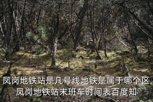 鳳崗地鐵站是幾號線地鐵是屬于哪個區鳳崗地鐵站末班車時間表百度知