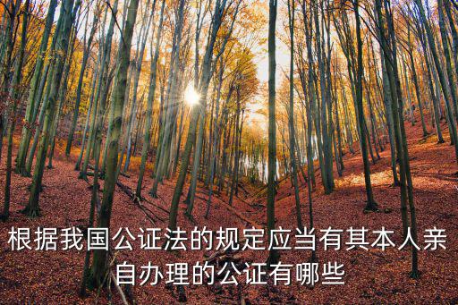 公證法全文，根據我國公證法的規定應當有其本人親自辦理的公證有哪些