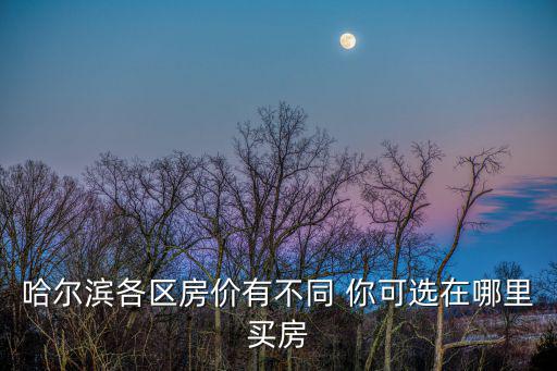 哈爾濱各區房價有不同 你可選在哪里買房