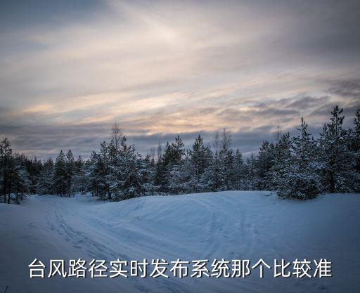 臺風路徑實時路徑，臺風路徑實時發(fā)布系統(tǒng)那個比較準