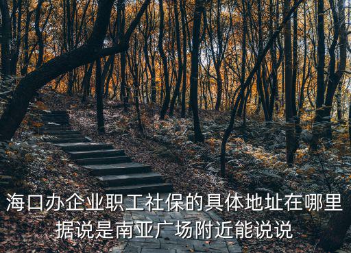 海口辦企業職工社保的具體地址在哪里據說是南亞廣場附近能說說