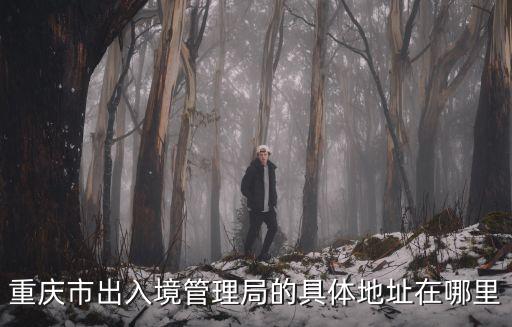 重慶市出入境管理局的具體地址在哪里