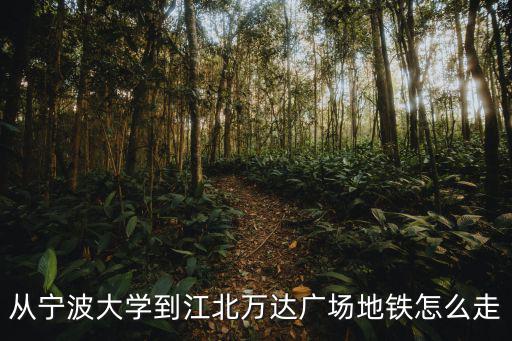 江北萬達，哈爾濱江北萬達呼蘭去萬達廣場咋坐車到哪站下車廣場在