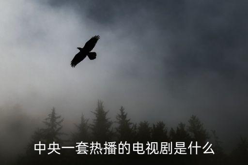 中央一套熱播的電視劇是什么