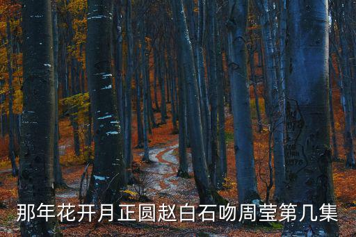 那年花開月正圓幾集，那年花開月正圓趙白石吻周瑩第幾集
