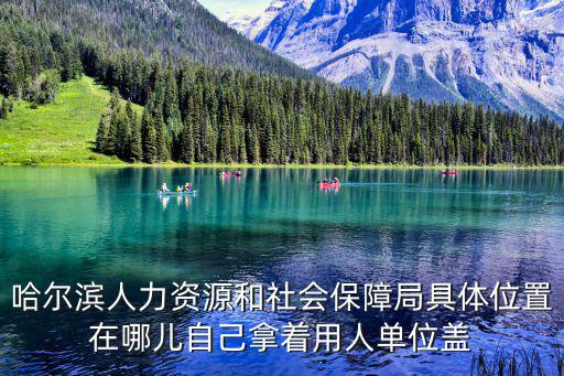 哈爾濱市人力資源和社會保障局，哈爾濱人力資源和社會保障局具體位置在哪兒自己拿著用人單位蓋