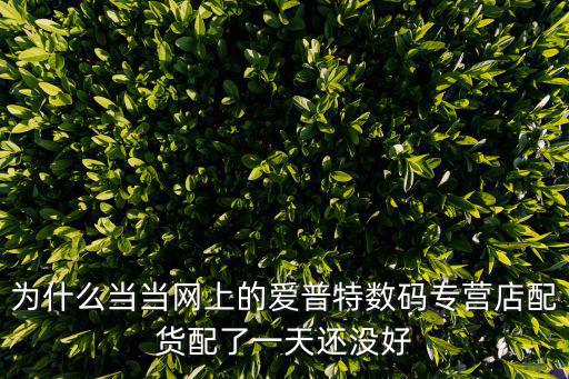 為什么當當網上的愛普特數碼專營店配貨配了一天還沒好