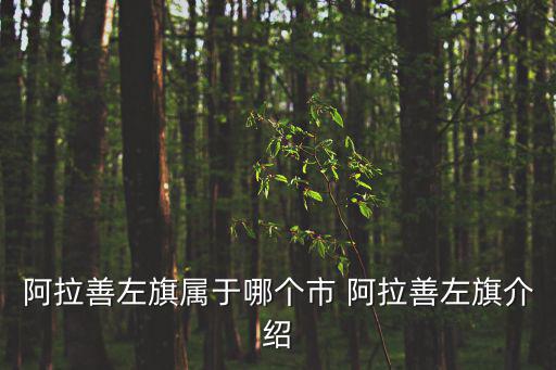阿拉善左旗屬于哪個(gè)市 阿拉善左旗介紹