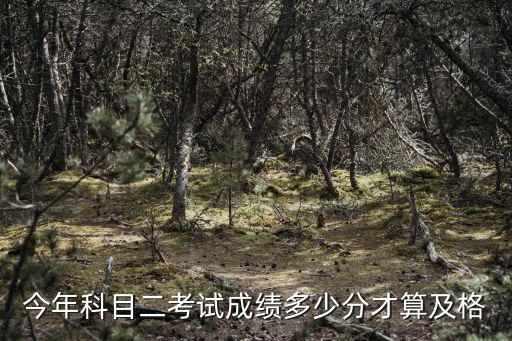 今年科目二考試成績多少分才算及格