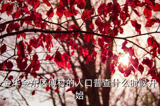 金華金東區傅村的人口普查什么時候開始