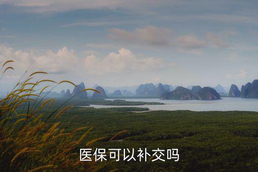 醫(yī)保能補交嗎，個人醫(yī)療保險能補交么