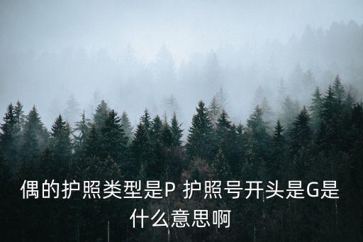 偶的護照類型是P 護照號開頭是G是什么意思啊