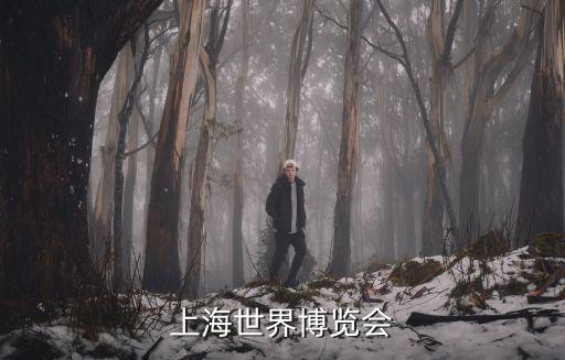 上海世界博覽會