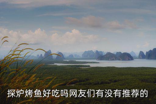探爐烤魚好吃嗎網友們有沒有推薦的