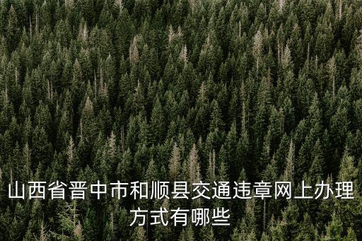 山西省晉中市和順縣交通違章網上辦理方式有哪些