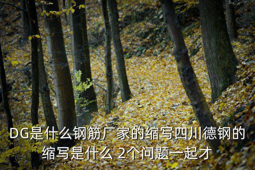 DG是什么鋼筋廠家的縮寫四川德鋼的縮寫是什么 2個問題一起才