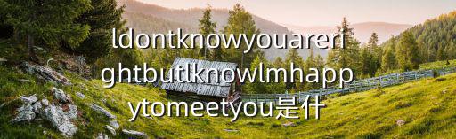 很高興遇見你餐廳，ldontknowyouarerightbutlknowlmhappytomeetyou是什