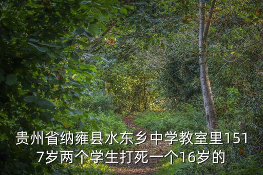 貴州省納雍縣水東鄉中學教室里1517歲兩個學生打死一個16歲的