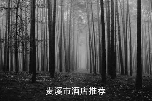 貴溪市酒店推薦